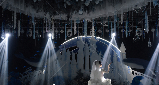 海底星空🌌-婚礼策划图片
