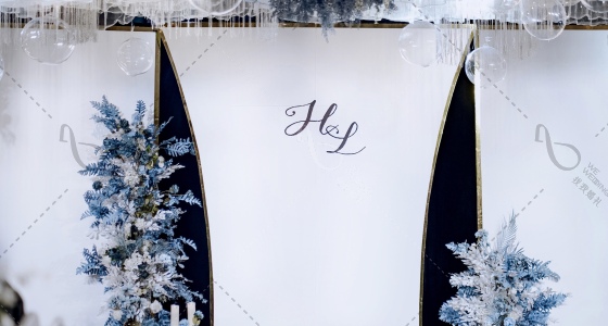 <不如你> |白蓝色系韩式-婚礼策划图片