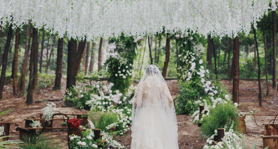 暮光森林婚礼-婚礼策划图片