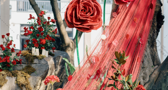 红玫瑰的言说-婚礼策划图片