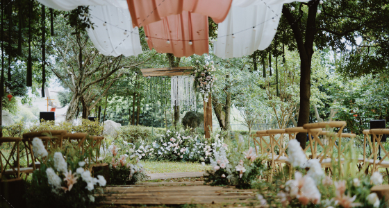 夏日森林-婚礼策划图片