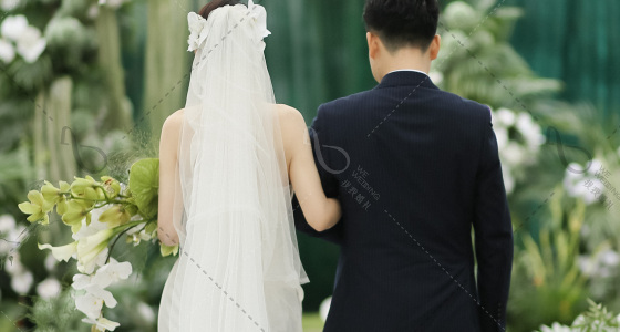 暮光之城婚礼-婚礼策划图片