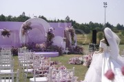 粉色户外-婚礼摄像图片