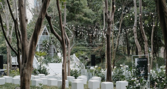 静谧の夏 | 日系清新树林-婚礼策划图片