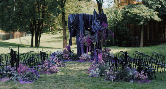 凝夜紫-婚礼策划图片