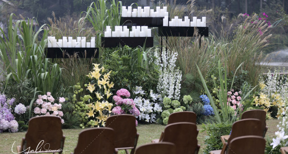 法式花园风-婚礼策划图片