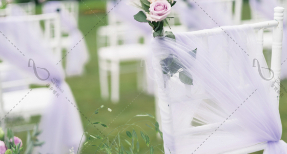 与迷雾紫邂逅的梦幻户外花园-婚礼策划图片