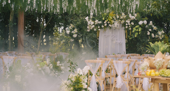暮光森林-婚礼策划图片