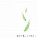 化妆师-美妆婚纱芳芳