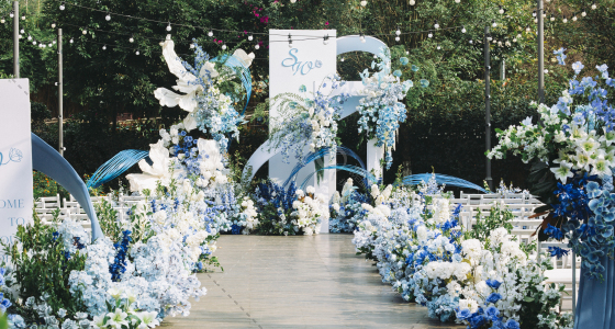 小众蓝白婚礼-婚礼策划图片