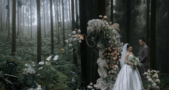 暮光森林｜目的地婚礼-婚礼策划图片