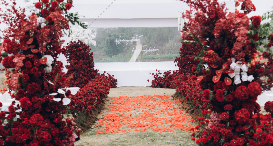 红色系户外草坪婚礼｜玫瑰与你-婚礼策划图片